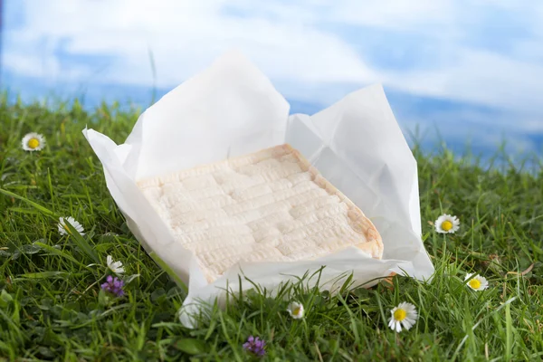 Bloco de queijo francês Pont-levique na grama e skt azul — Fotografia de Stock
