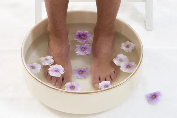 Beautiful pedicured feet with colorful spring daisies in a spa — Stock Photo, Image