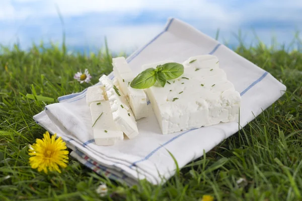 Formaggio feta con erbe fresche . — Foto Stock