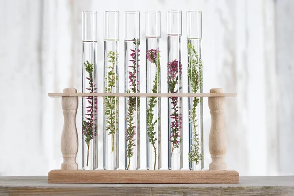 Oplossing van geneeskrachtige planten en bloemen - decoratieve objecten-pl — Stockfoto