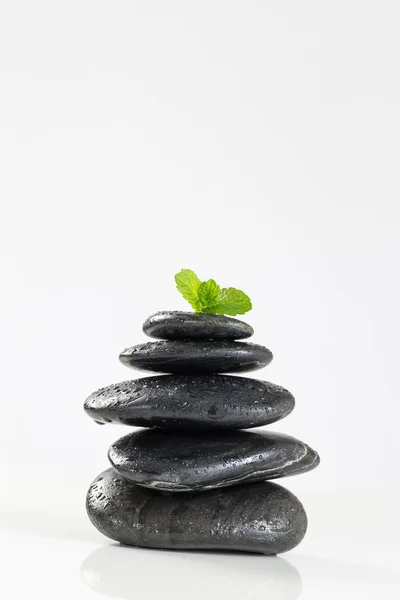 Wellness fogalma a fekete kő — Stock Fotó