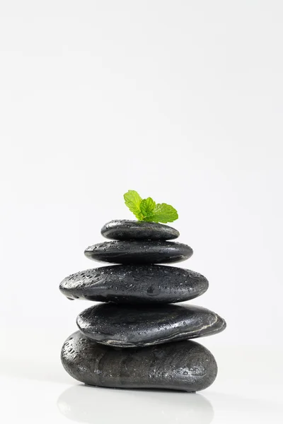 Spa concept with black stone — Stock Photo, Image