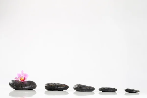 Sağlık Spa konsept