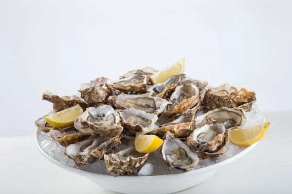 Oyster plattan festliga — Stockfoto