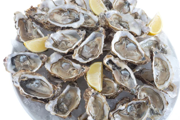Oyster plate festive — Stock Photo, Image