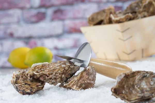 Fresh oyster ready to be eatten — Stock Photo, Image