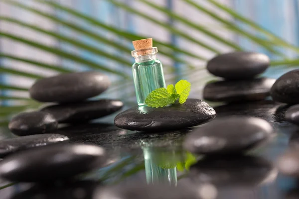 Schöne Wellness-Komposition — Stockfoto