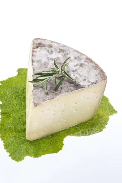 Tomme de Savoie, semi firma francouzský sýr — Stock fotografie