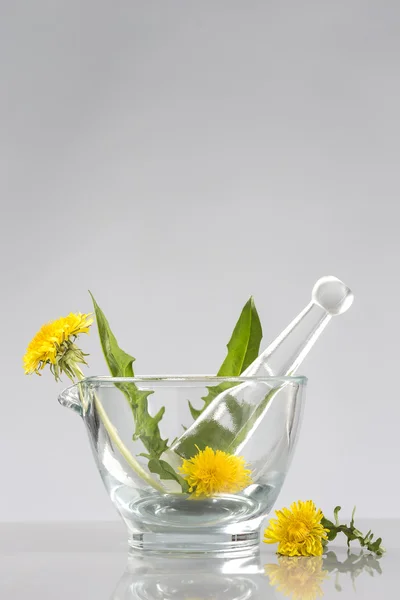 Ringelblume im Mörser — Stockfoto