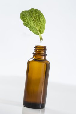 Pppermint uçucu yağ çıkarma sembol