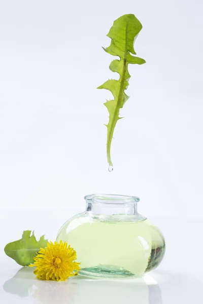 Olio essenziale simbolo di estrazione Calendula — Foto Stock