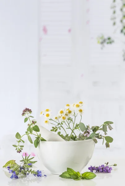 Fresh herbs in mortar on white background