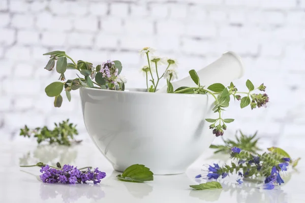 Fresh herbs in mortar on white background