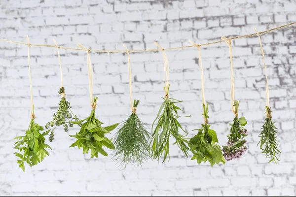 Variety of Fresh herbal hung — Stok Foto