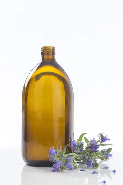 Borage oil Borago Officinalis — Stock Photo, Image