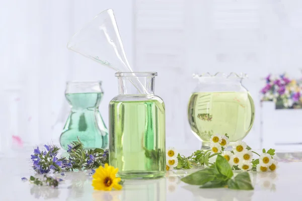 Aromaterapi färska gröna växter och blommor botle eterisk olja — Stockfoto