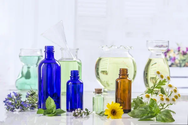 Aromatherapie verse groene planten en bloemen botle van etherische olie — Stockfoto