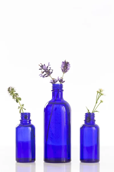 Bouteilles bleues d'huile essentielle aux herbes fesh — Photo