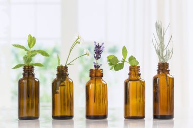 Brown Bottles of essential oil with fresh herbs clipart