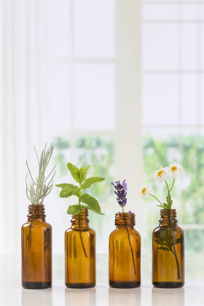 Bouteilles brunes d'huile essentielle aux herbes fraîches — Photo