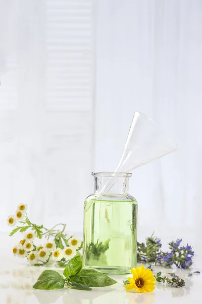 Aromatherapie verse groene planten en bloemen botle van etherische olie — Stockfoto