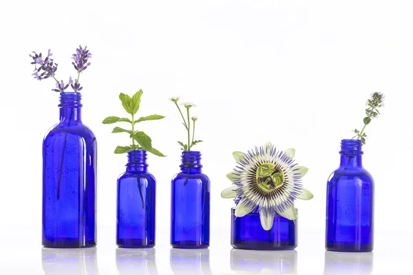 Botellas azules de aceite esencial con hierbas fesh — Foto de Stock