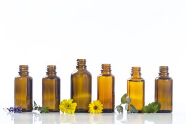 Temel yağlar ve tıbbi bitkiler.