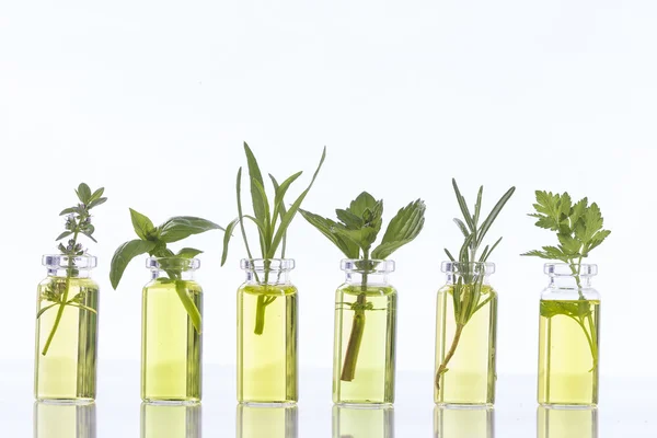 Botella de aceite esencial con hierbas —  Fotos de Stock