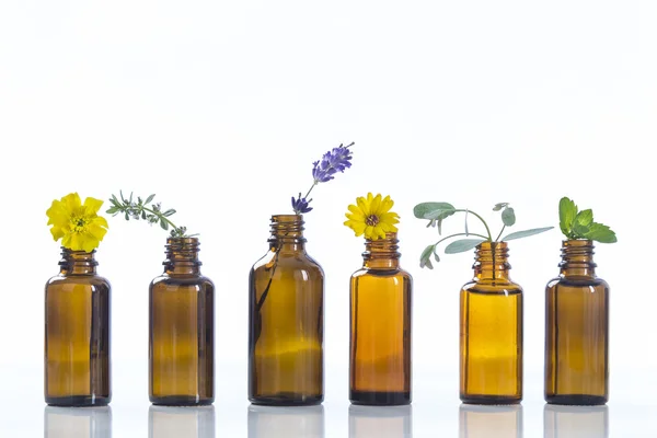 Essential oils and medical flowers herbs — Stock Photo, Image