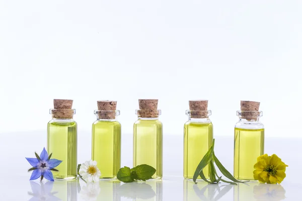 Эфирные масла и лечебные цветы — стоковое фото