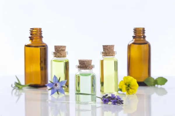 Essential oils and medical flowers herbs — Stock Photo, Image