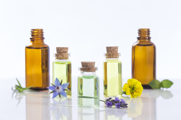 essential oils and medical flowers herbs