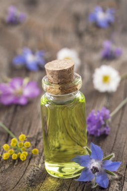 Aromaterapi ve bilim