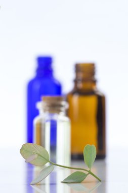 Okaliptüs Aromaterapi temel yağlar, şişeli