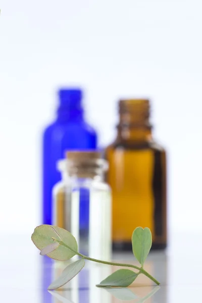 Eucalyptus aromatherapy essential oils in bottles — Stock Photo, Image