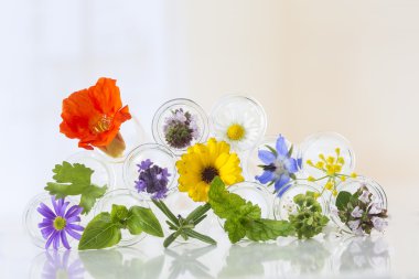 test tüpleri üzerinde beyaz izole çiçeklenir