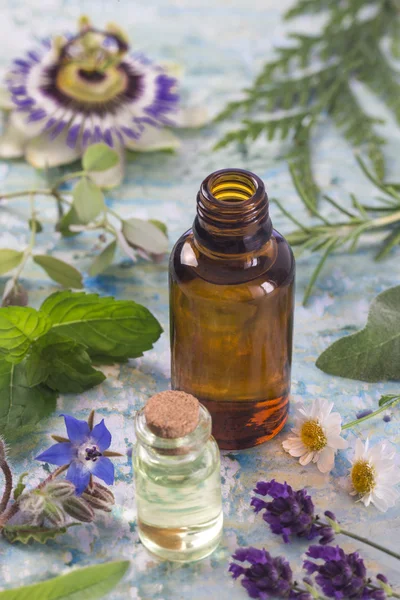 Seleção de plantas e flores medicinais, hortelã-pimenta, passiflora, sálvia, tomilho, bálsamo de limão de lavanda com uma garrafa de vidro de óleo essencial de aromaterapia  . — Fotografia de Stock