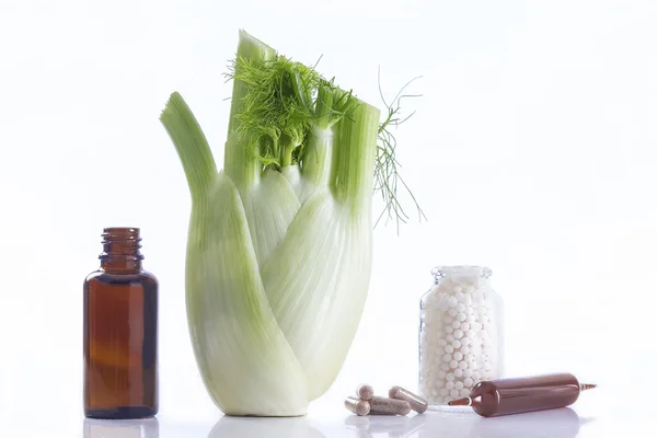 Venkel plant genezing kruidengeneeskunde — Stockfoto