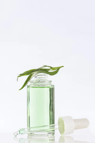 Tárkony Artemisia dracunculus olaj gyógyszeripari palack — Stock Fotó