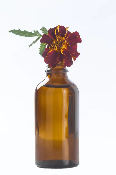 Kleine fles van essentiële Goudsbloem olie — Stockfoto