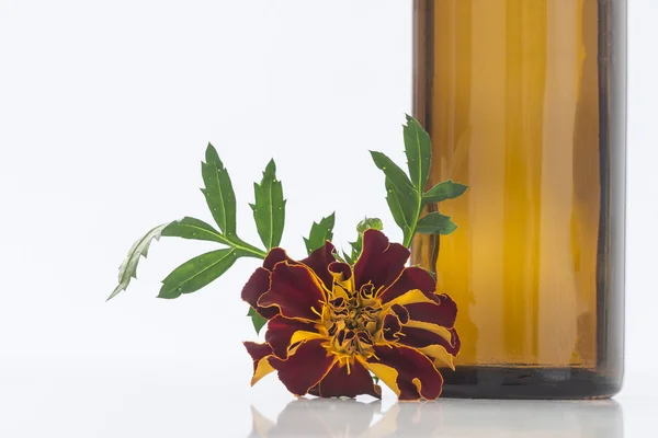 Kleine Flasche ätherisches Ringelblumenöl — Stockfoto