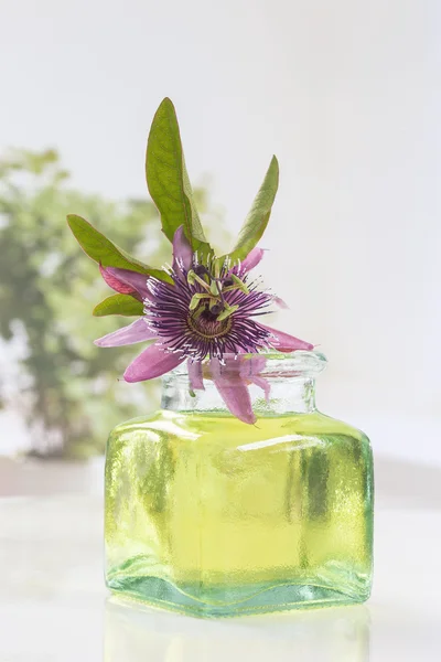 Эфирное масло ароматерапии цветов страсти — стоковое фото