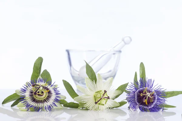 Üç coulored tutku çiçek harç ile — Stok fotoğraf