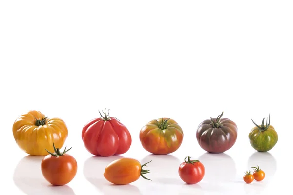 Odmiany pomidorów scheda — Zdjęcie stockowe