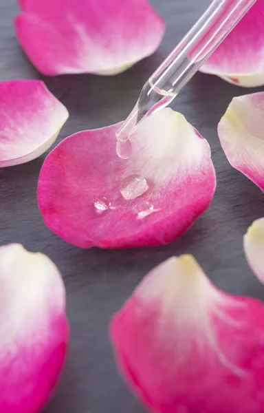 Blütenwasser, pflanzliche Medizin Tropfer Rosenblätter — Stockfoto