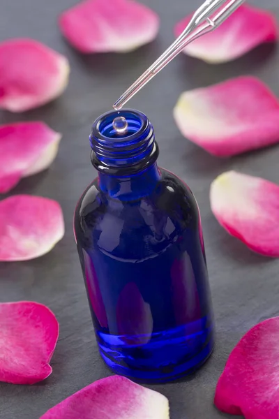 Płatki róż i butelek olejku do aromaterapii — Zdjęcie stockowe