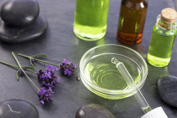 Medicina herbal com frasco conta-gotas — Fotografia de Stock