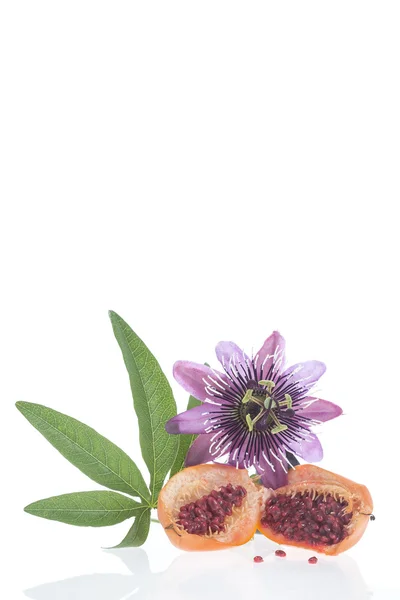 Fiore e frutto Passiflora Herba Passiflora — Foto Stock