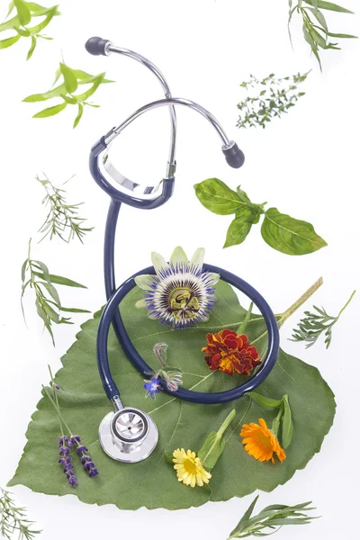 Medicina alternativa ervas e estetoscópio na folha — Fotografia de Stock
