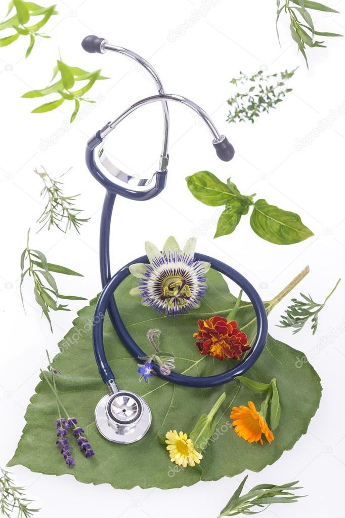 Alternative medicine herbs and stethoscope on leaf